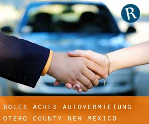 Boles Acres autovermietung (Otero County, New Mexico)
