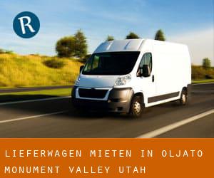 Lieferwagen mieten in Oljato-Monument Valley (Utah)