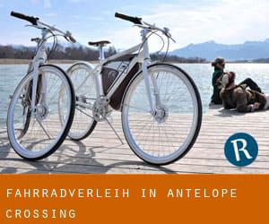 Fahrradverleih in Antelope Crossing