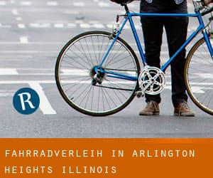 Fahrradverleih in Arlington Heights (Illinois)