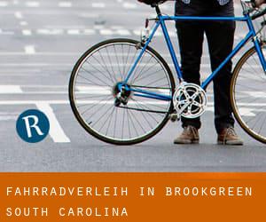 Fahrradverleih in Brookgreen (South Carolina)