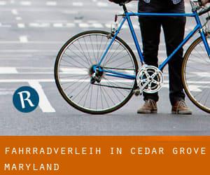 Fahrradverleih in Cedar Grove (Maryland)