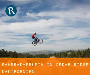 Fahrradverleih in Cedar Ridge (Kalifornien)