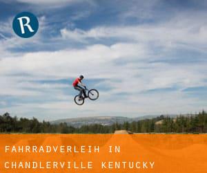 Fahrradverleih in Chandlerville (Kentucky)