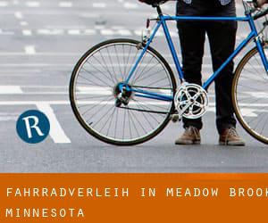 Fahrradverleih in Meadow Brook (Minnesota)