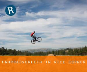Fahrradverleih in Rice Corner