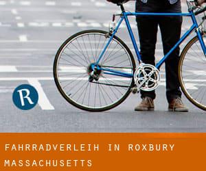 Fahrradverleih in Roxbury (Massachusetts)