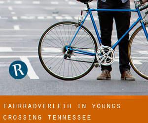 Fahrradverleih in Youngs Crossing (Tennessee)