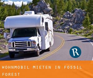 Wohnmobil mieten in Fossil Forest