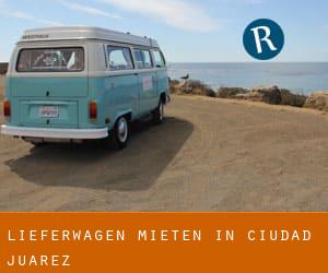 Lieferwagen mieten in Ciudad Juárez