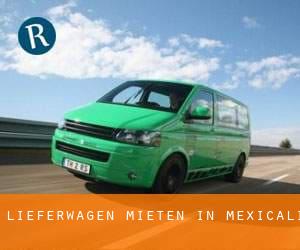 Lieferwagen mieten in Mexicali