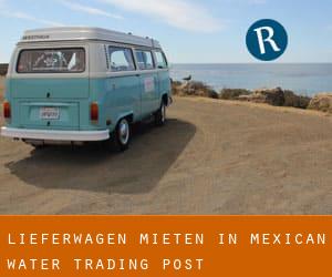 Lieferwagen mieten in Mexican Water Trading Post