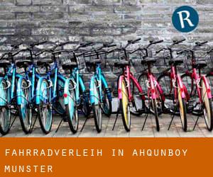 Fahrradverleih in Ahqunboy (Munster)