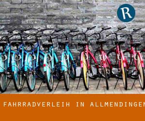 Fahrradverleih in Allmendingen