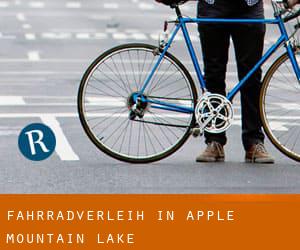Fahrradverleih in Apple Mountain Lake