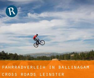 Fahrradverleih in Ballinagam Cross Roads (Leinster)