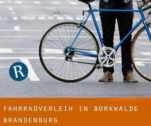 Fahrradverleih in Borkwalde (Brandenburg)