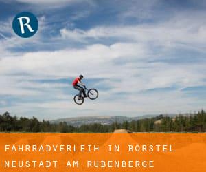 Fahrradverleih in Borstel (Neustadt am Rübenberge)