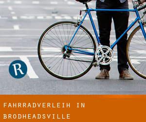 Fahrradverleih in Brodheadsville