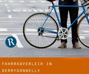 Fahrradverleih in Derrygonnelly