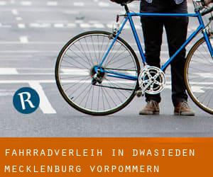 Fahrradverleih in Dwasieden (Mecklenburg-Vorpommern)