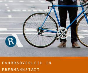 Fahrradverleih in Ebermannstadt