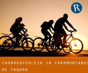 Fahrradverleih in Faramontanos de Tábara