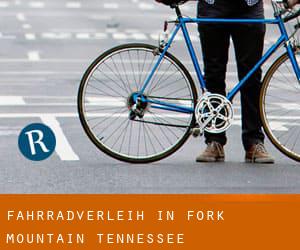 Fahrradverleih in Fork Mountain (Tennessee)