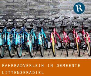 Fahrradverleih in Gemeente Littenseradiel