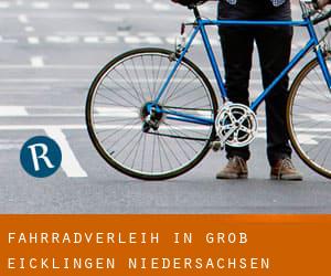 Fahrradverleih in Groß Eicklingen (Niedersachsen)
