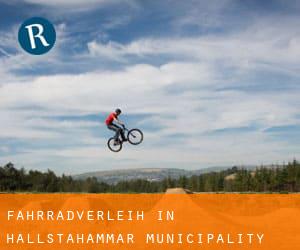 Fahrradverleih in Hallstahammar Municipality