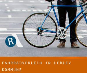 Fahrradverleih in Herlev Kommune