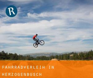 Fahrradverleih in Herzogenbusch