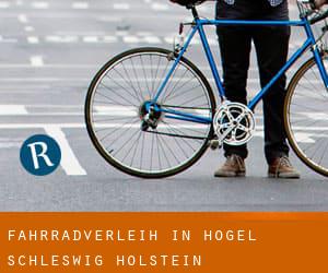 Fahrradverleih in Högel (Schleswig-Holstein)