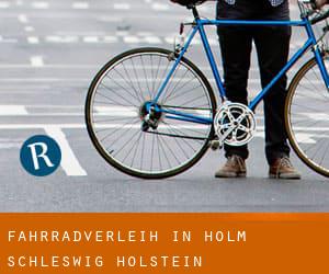 Fahrradverleih in Holm (Schleswig-Holstein)