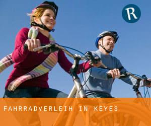 Fahrradverleih in Keyes