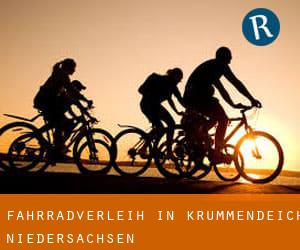 Fahrradverleih in Krummendeich (Niedersachsen)