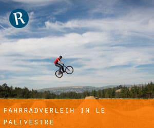 Fahrradverleih in Le Palivestre