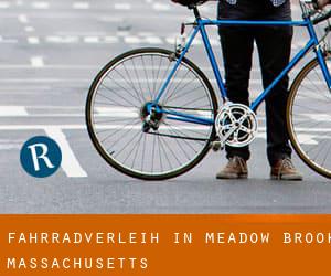 Fahrradverleih in Meadow Brook (Massachusetts)