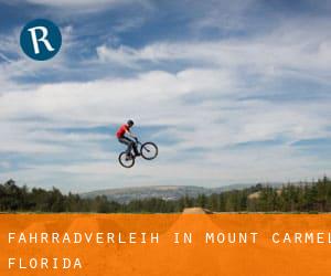 Fahrradverleih in Mount Carmel (Florida)