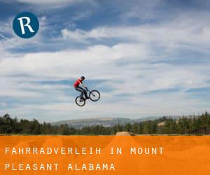 Fahrradverleih in Mount Pleasant (Alabama)