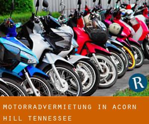 Motorradvermietung in Acorn Hill (Tennessee)
