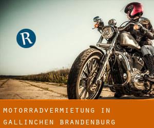 Motorradvermietung in Gallinchen (Brandenburg)