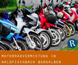 Motorradvermietung in Waldfischbach-Burgalben